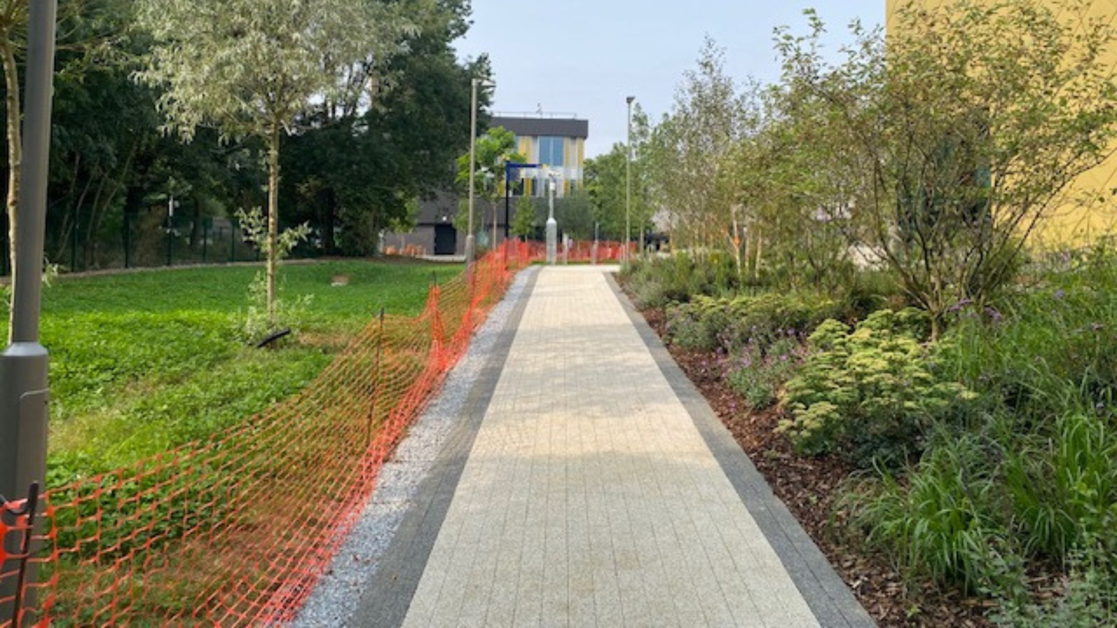 Paved path with new shrub planting, young trees and turf at ARU Peterborough university campus